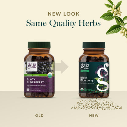 Gaia Herbs Black Elderberry – Daily Immune Support Capsules with Acerola (120 Vegan Capsules, 60 Servings)