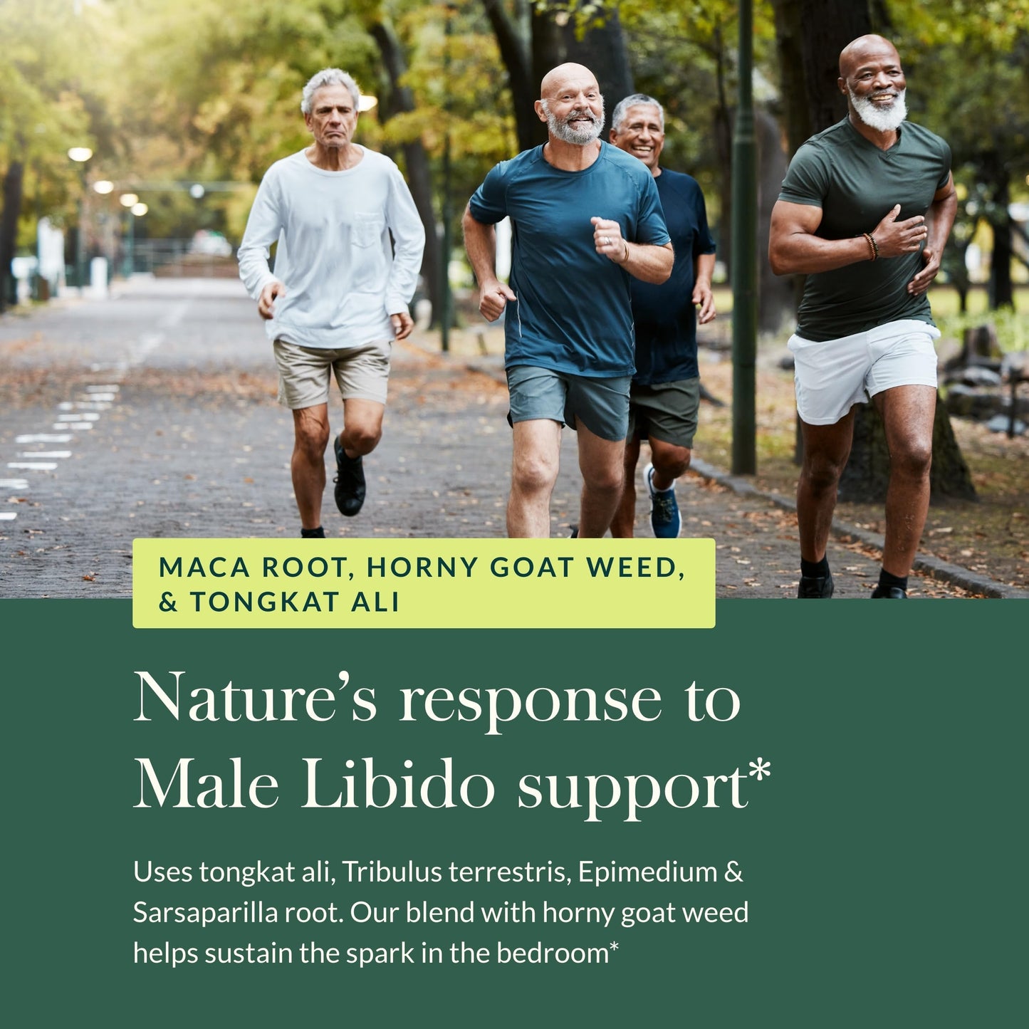Gaia Herbs Male Libido - Herbal Vitality Support with Saw Palmetto, Horny Goat Weed & Oats | 120 Vegan Liquid Phyto-Capsules
