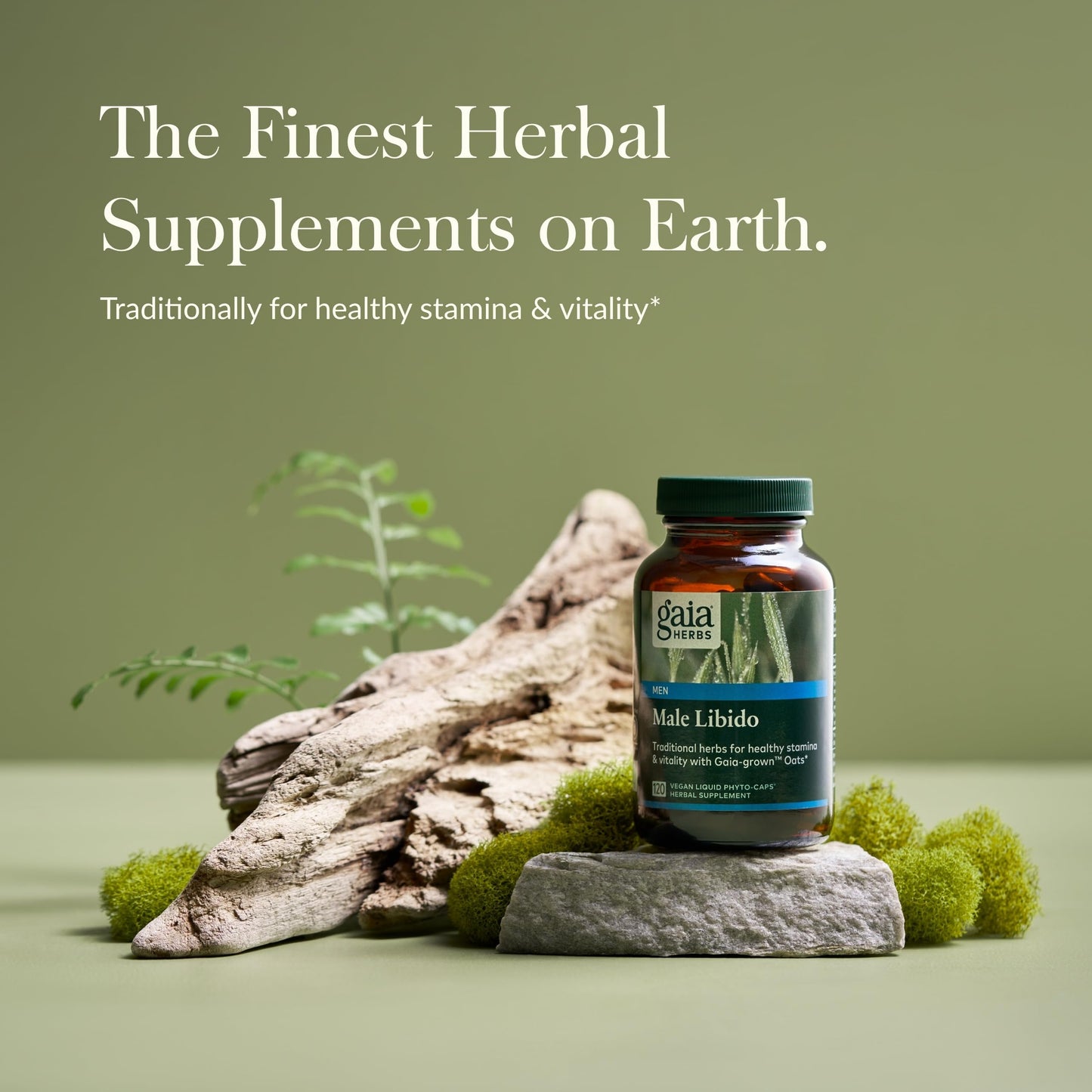 Gaia Herbs Male Libido - Herbal Vitality Support with Saw Palmetto, Horny Goat Weed & Oats | 120 Vegan Liquid Phyto-Capsules