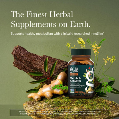 Gaia Herbs Metabolic Activator – Natural Energy & Metabolism Support with Panax Notoginseng & Astragalus (60 Capsules, 60 Servings) – Vegan & Dairy-Free