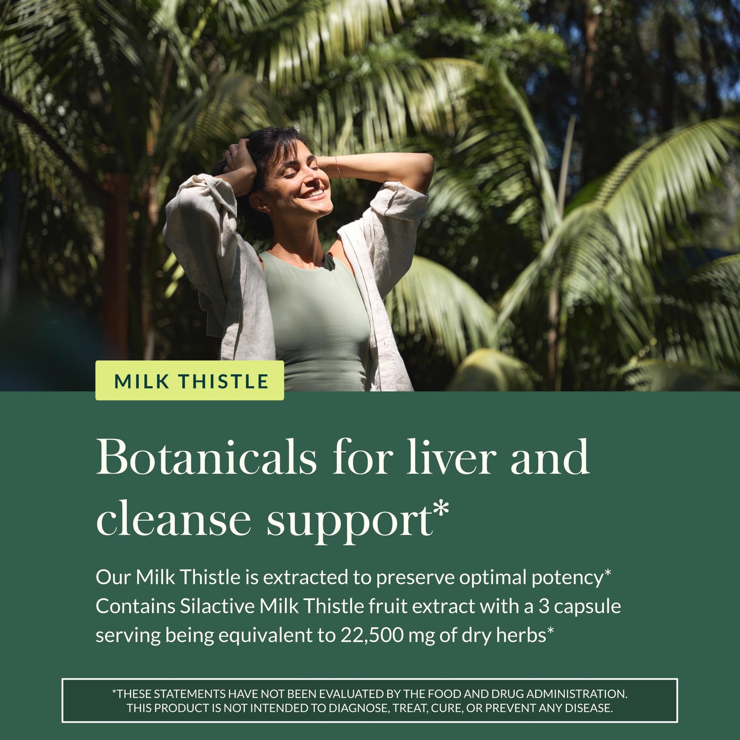 Gaia Herbs Milk Thistle - Liver Support Supplement | 120 Vegan Capsules