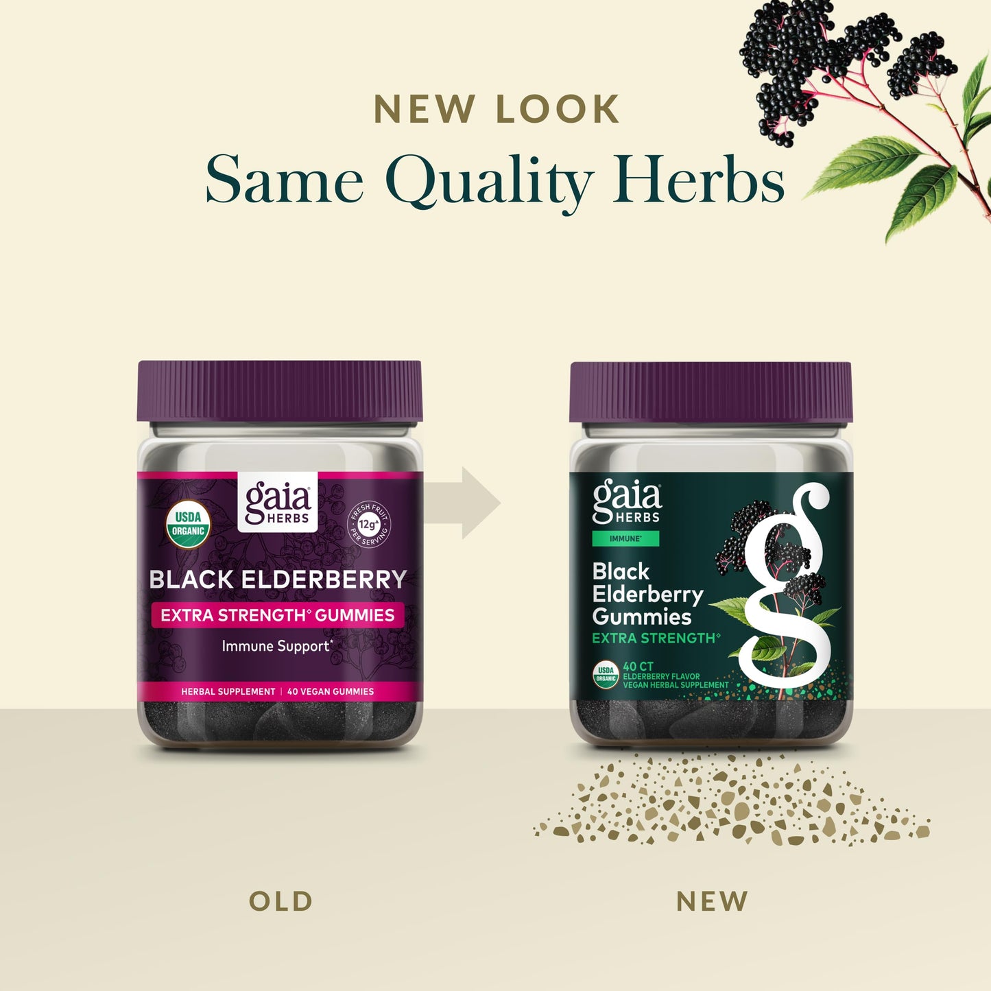 Gaia Herbs Black Elderberry Gummies Extra Strength – Immune Support (40 Gummies)