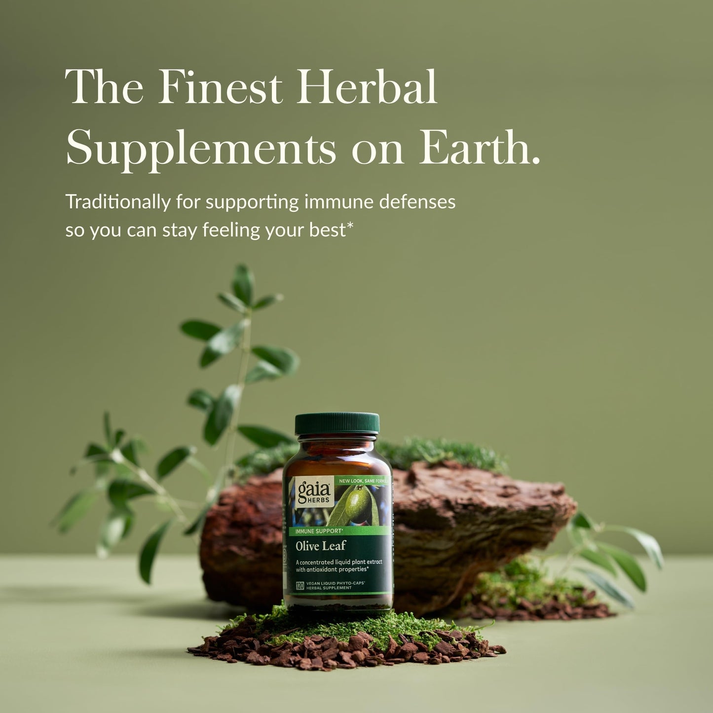 Gaia Herbs Olive Leaf - Traditional Immune Support with Oleuropein | 120 Vegan Liquid Phyto-Caps