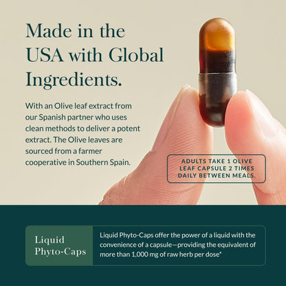 Gaia Herbs Olive Leaf - Traditional Immune Health Support | 60 Vegan Liquid Phyto-Caps