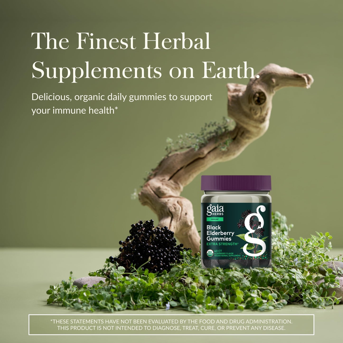 Gaia Herbs Black Elderberry Gummies Extra Strength – Immune Support (40 Gummies)