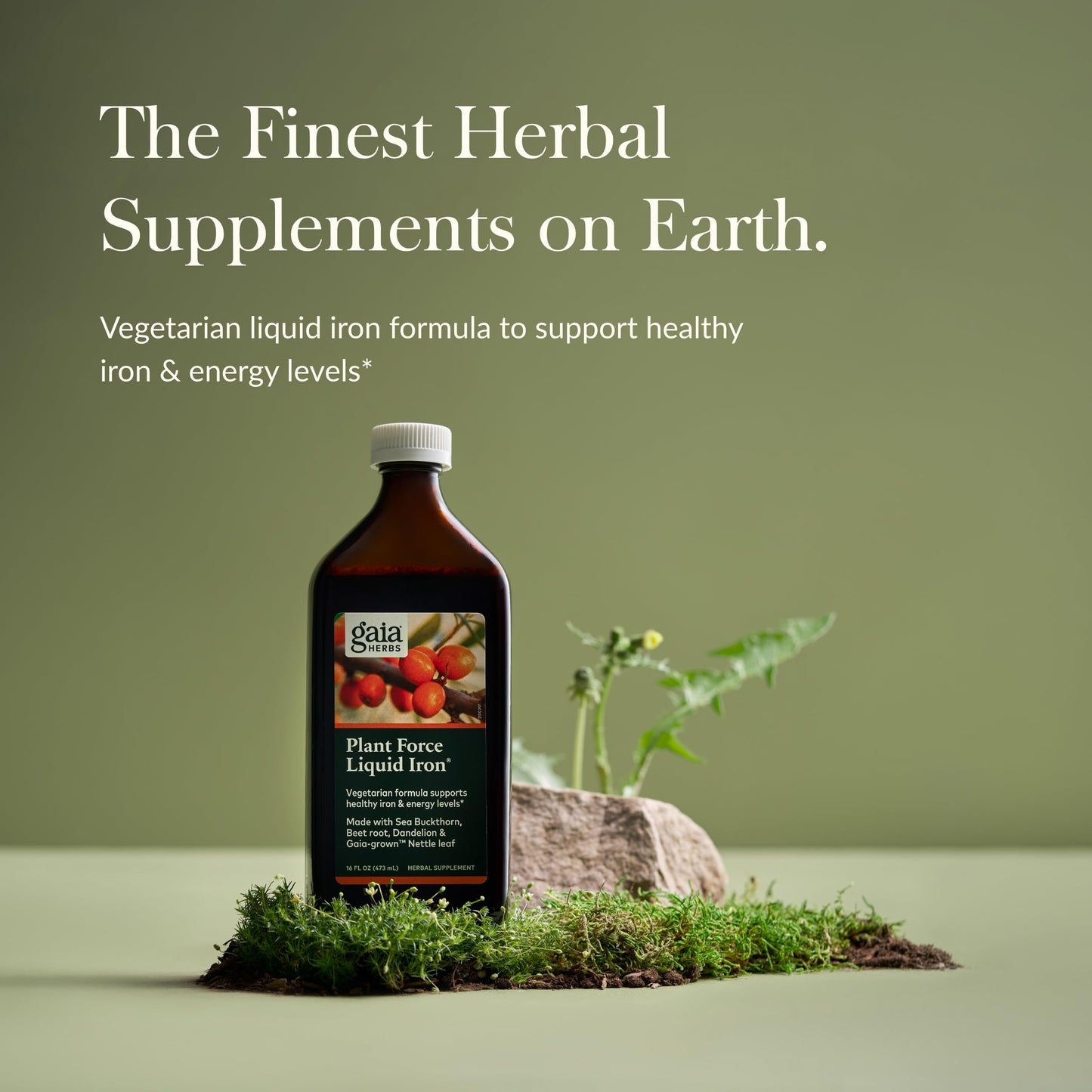 Gaia Herbs Plant Force Liquid Iron – Vegetarian Iron Supplement for Energy & Iron Support – 16 fl oz