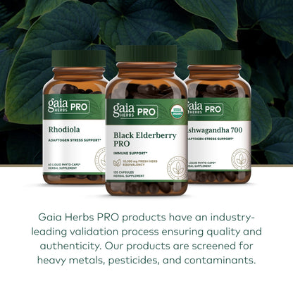 GAIA HERBS PRO Black Elderberry PRO - Immune Support*, Organic Elderberry Extract, Vegan, 120 Capsules (60 Servings)