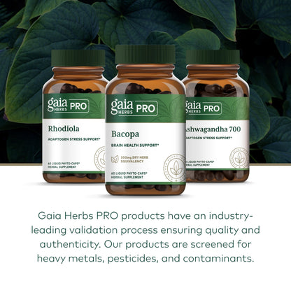 GAIA HERBS PRO Bacopa – Brain Health & Nootropic Support – 60 Liquid Phyto-Caps (30 Servings)