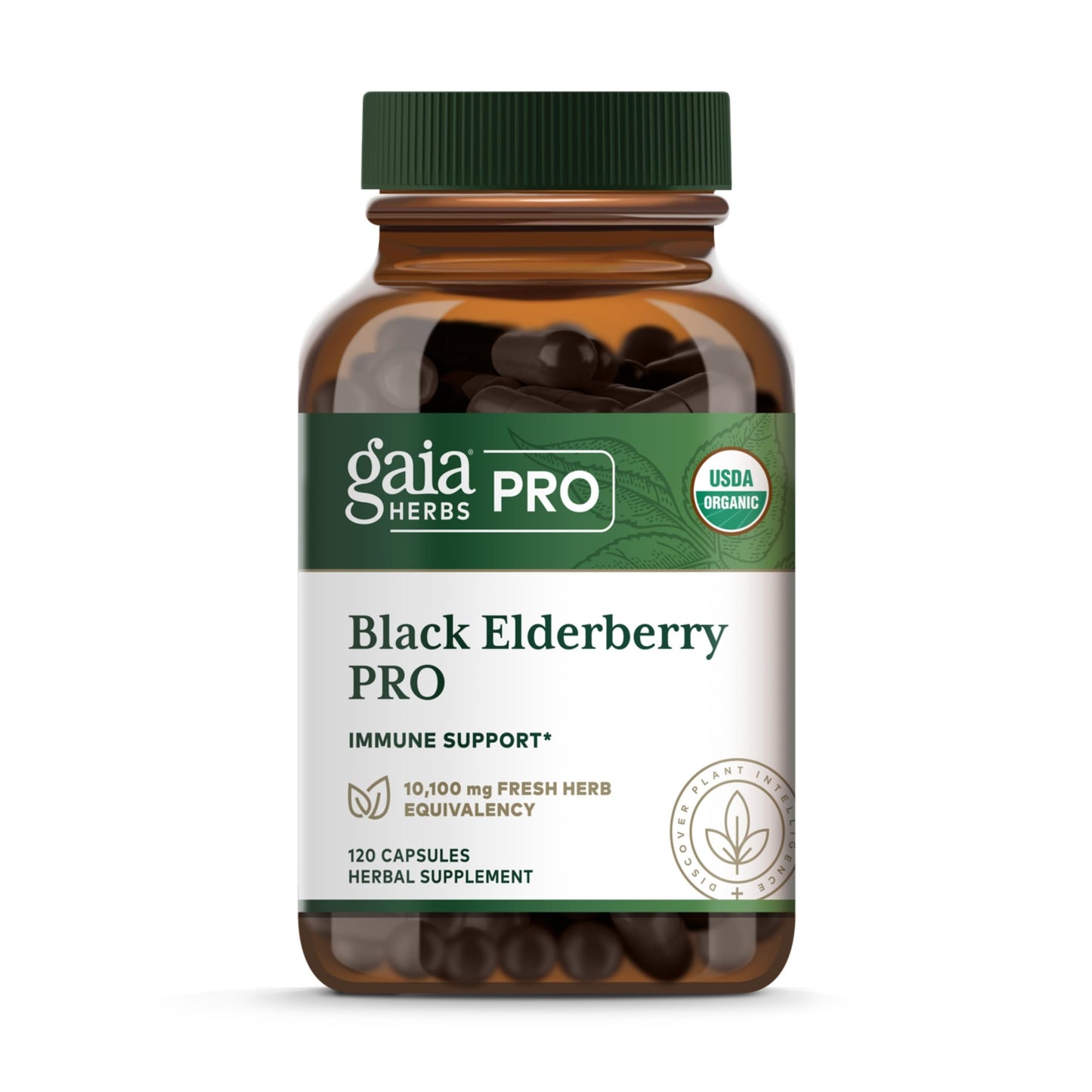 GAIA HERBS PRO Black Elderberry PRO - Immune Support*, Organic Elderberry Extract, Vegan, 120 Capsules (60 Servings)
