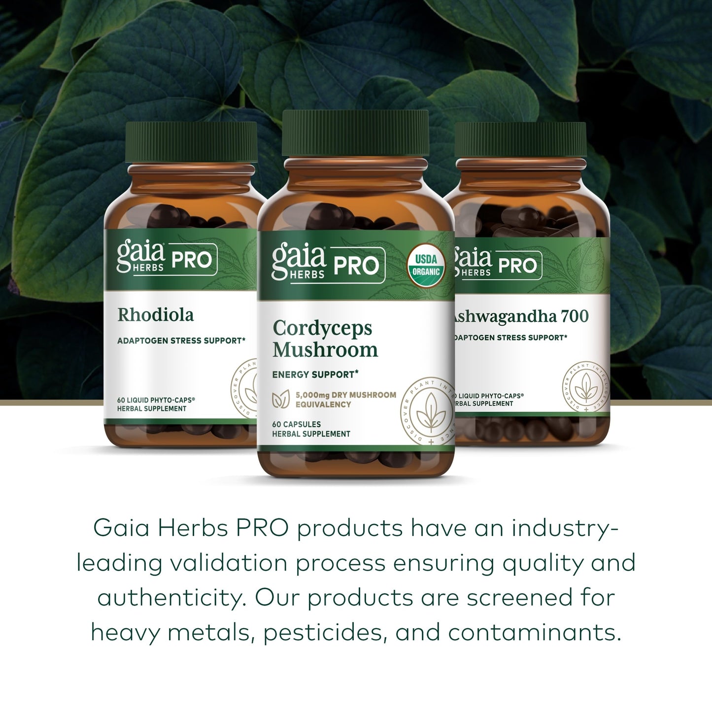 GAIA HERBS PRO Cordyceps Mushroom - 60 Caps | 5,000 mg per 2 Caps | Adaptogenic Energy