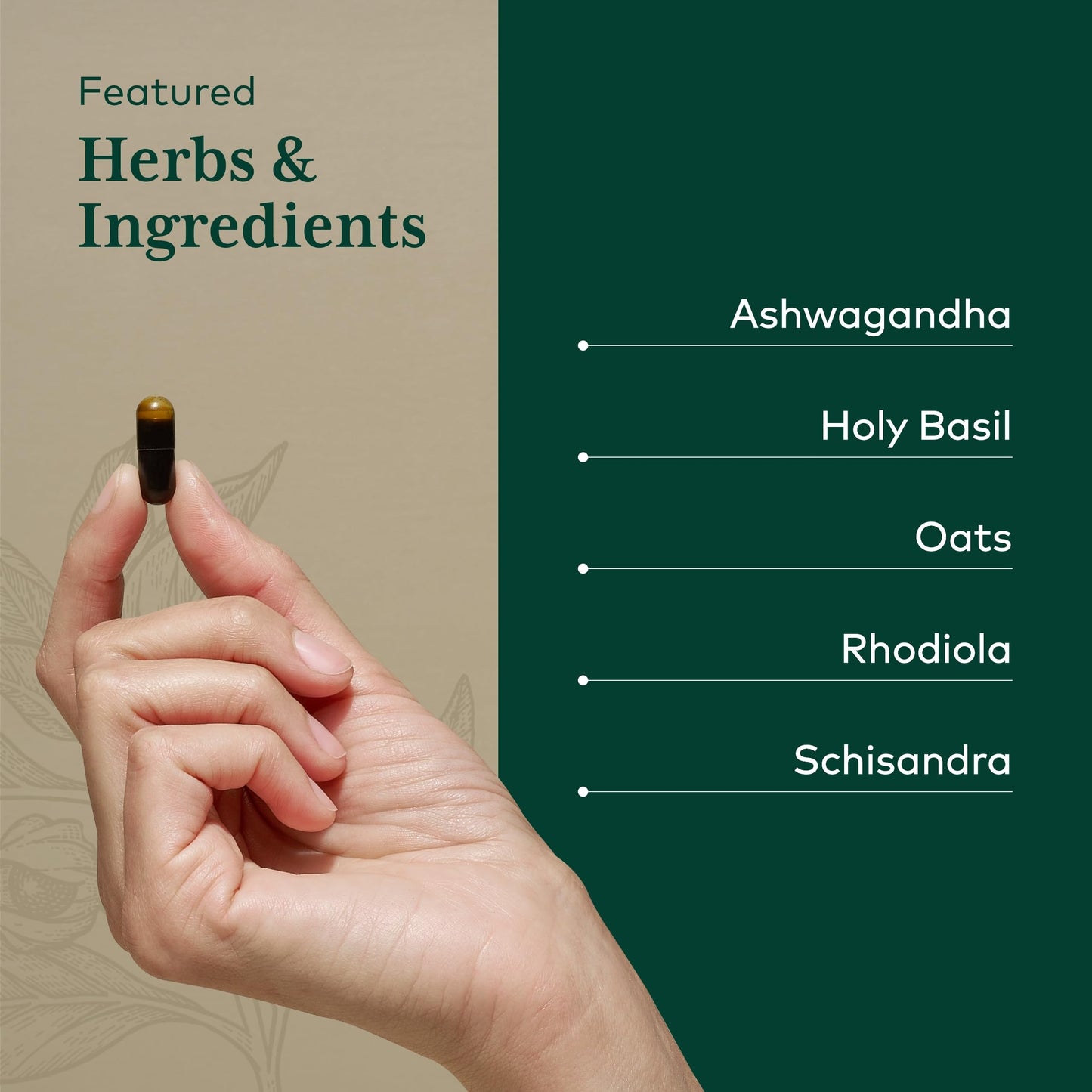 GAIA HERBS PRO Daytime HPA - Adaptogen & Nervous System Support | 60 Liquid Phyto-Caps