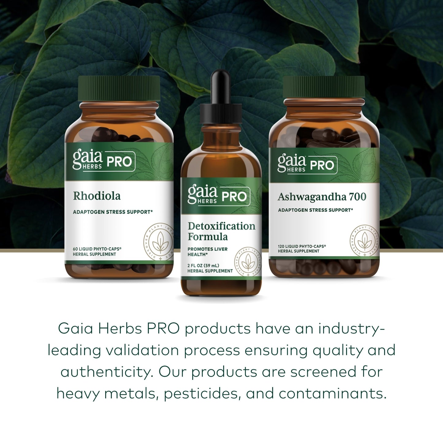GAIA HERBS PRO Detoxification Formula – Liver Health & Detox Support – Milk Thistle, Yellow Dock & More – 2 fl oz (30 Servings)