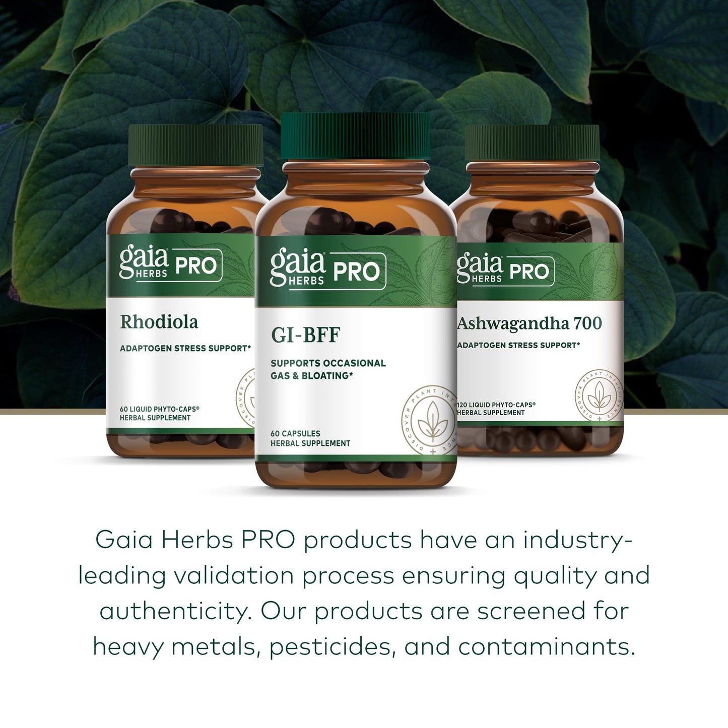 GAIA Herbs PRO GI-BFF Digestive Health | Benegut, Organic Fennel & Cinnamon Bark - 60 Caps