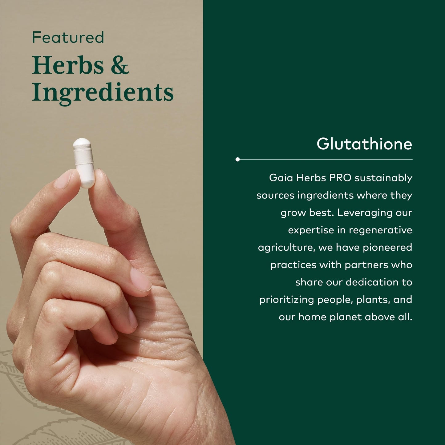 GAIA HERBS PRO Glutathione 500 - Antioxidant Support | 30 Servings | Vegan & Gluten-Free