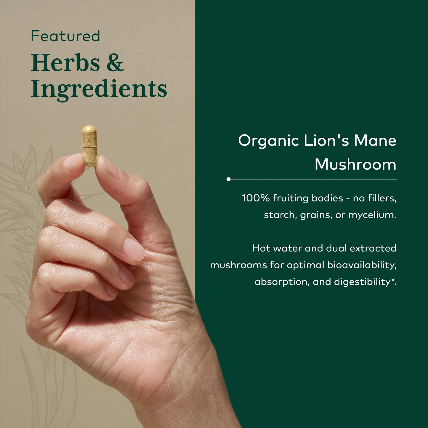 Gaia Herbs PRO Lions Mane Mushroom - Brain Health, 2,500mg/Serving, 60 Capsules, Organic
