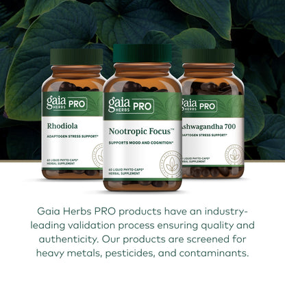 GAIA HERBS PRO Nootropic Focus – Brain Health & Focus Support (40 Liquid Phyto-Caps, Vegan, Gluten-Free)