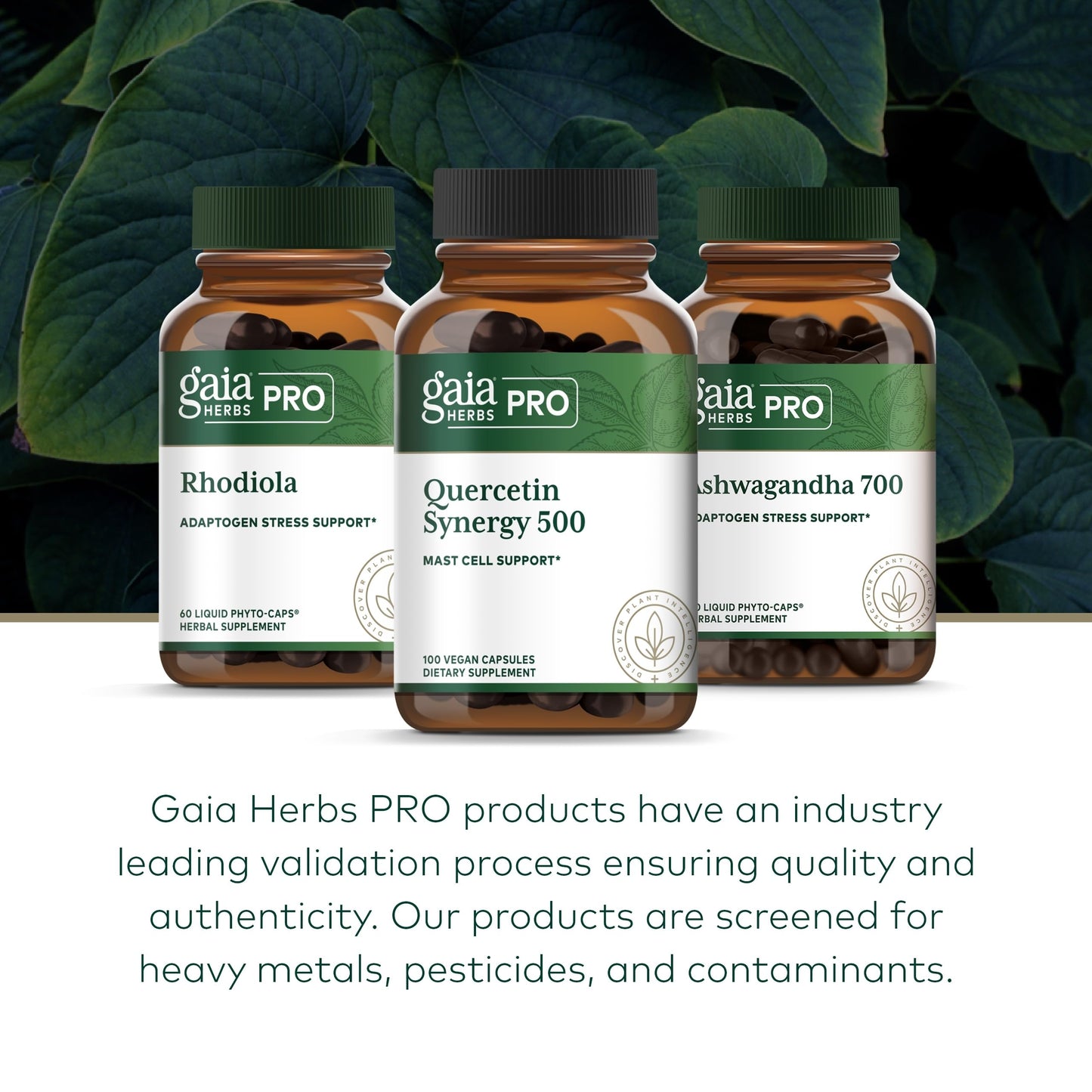 GAIA Herbs PRO Quercetin Synergy 500 – Immune & Cell Health, 100 Capsules