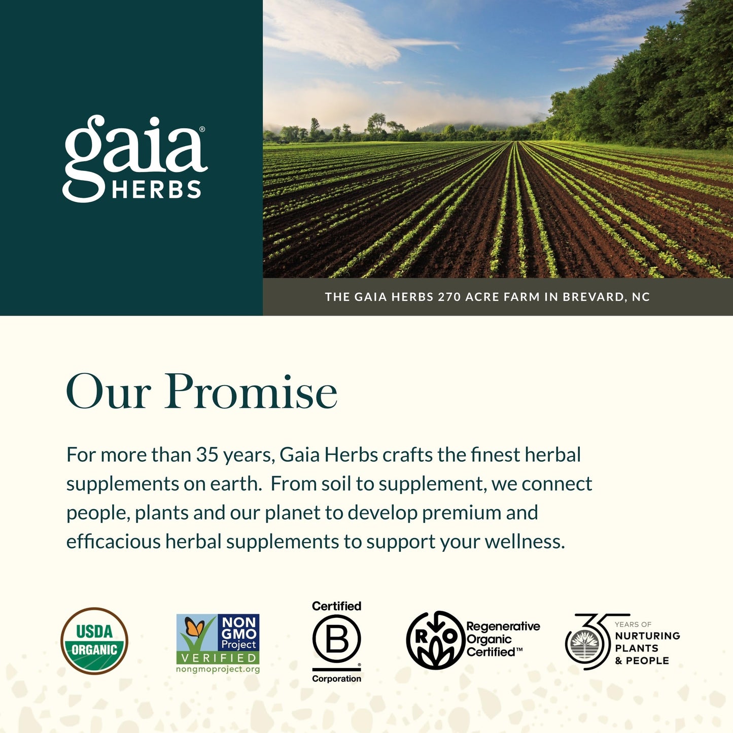 Gaia Herbs Reishi Mushroom: Immune & Heart Health | 40 Vegan Liquid Phyto-Capsules