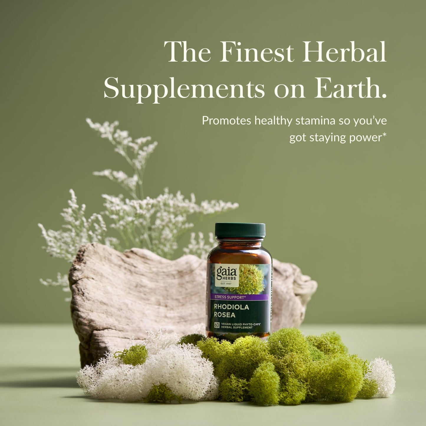 Gaia Herbs Rhodiola Rosea - Stress Support & Endurance | 60 Vegan Liquid Phyto-Capsules