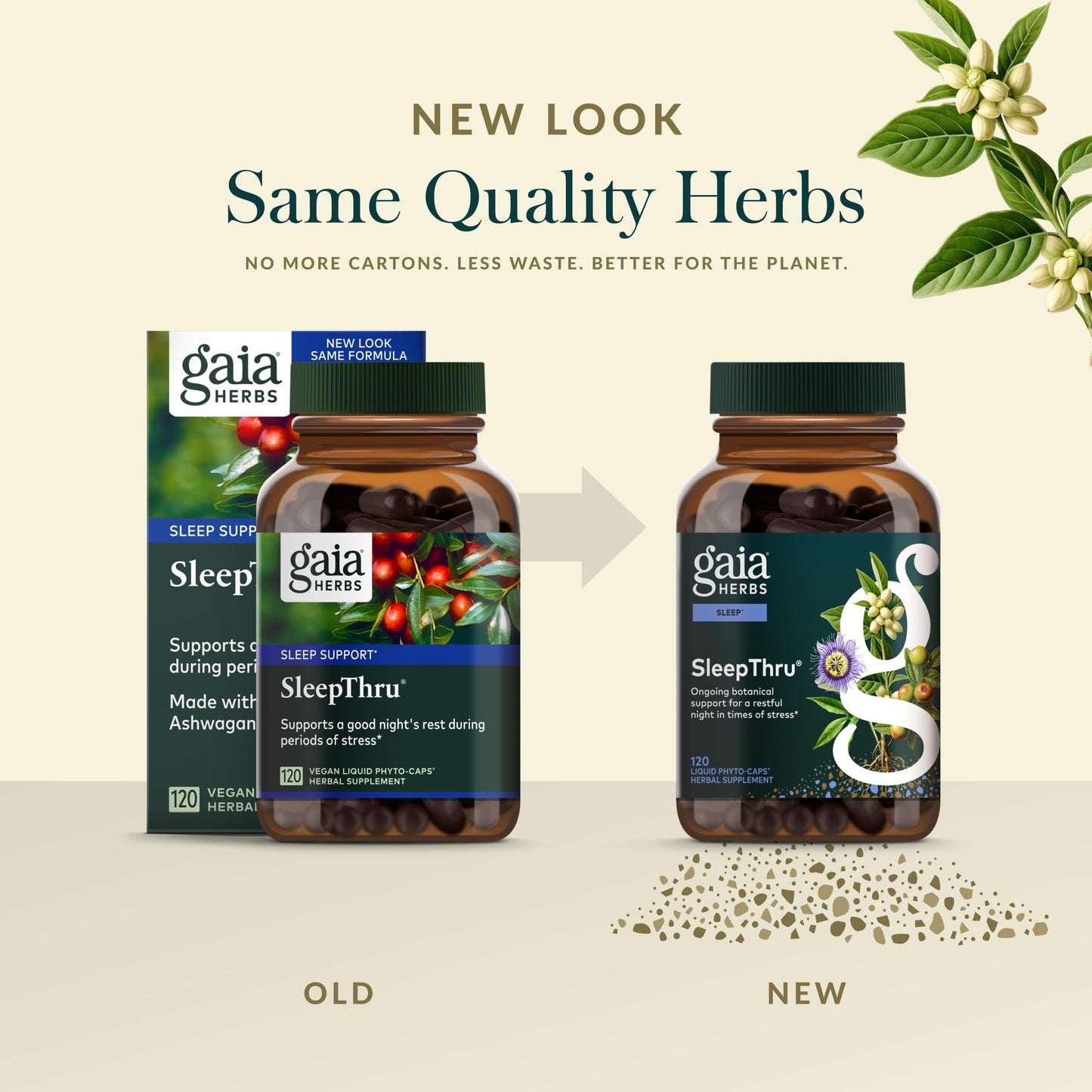 Gaia Herbs SleepThru – Sleep Support with Ashwagandha, Magnolia Bark, Passionflower & Jujube Date | 120 Vegan Liquid Phyto-Caps (60 Servings)