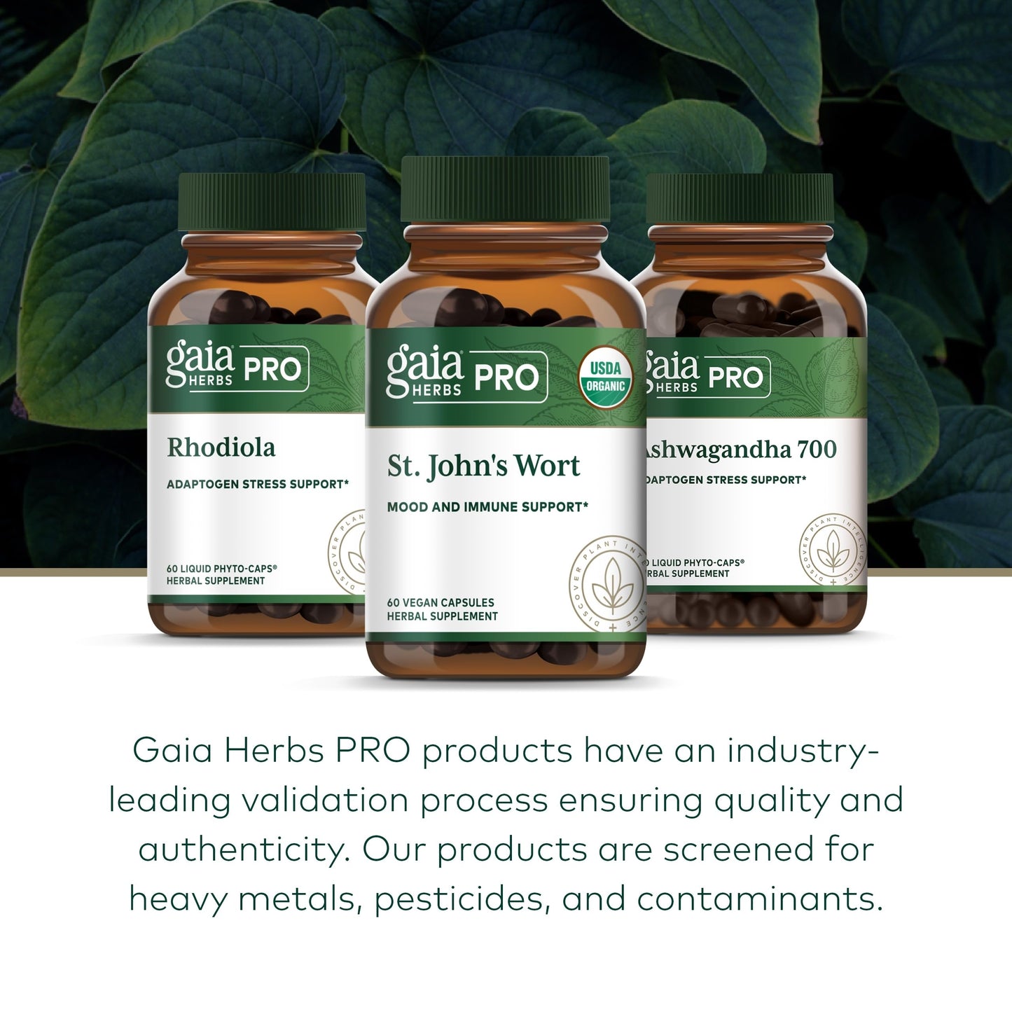 Gaia Herbs Pro St. John's Wort – Immune & Brain Health, 60 Liquid Phyto-Caps (30 Servings)