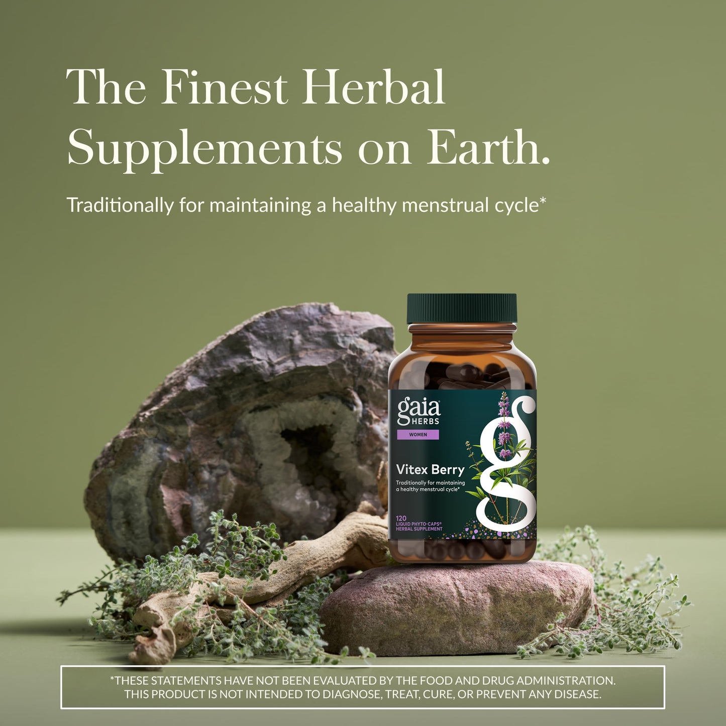 Gaia Herbs Vitex Berry - Hormone Balance Support for Women | 120 Vegan Liquid Phyto-Capsules
