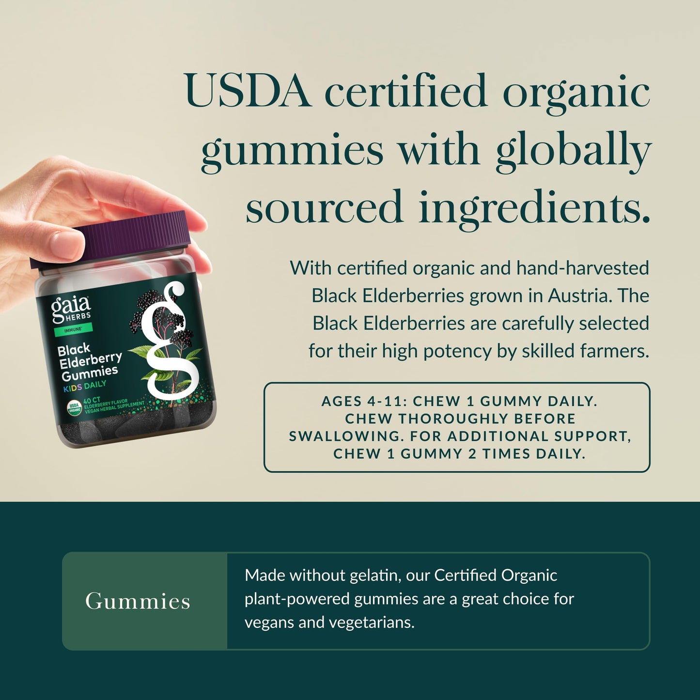 GaiaKids Black Elderberry Daily Gummies for Kids | Immune Support | Organic Elderberries | 40 Gummies