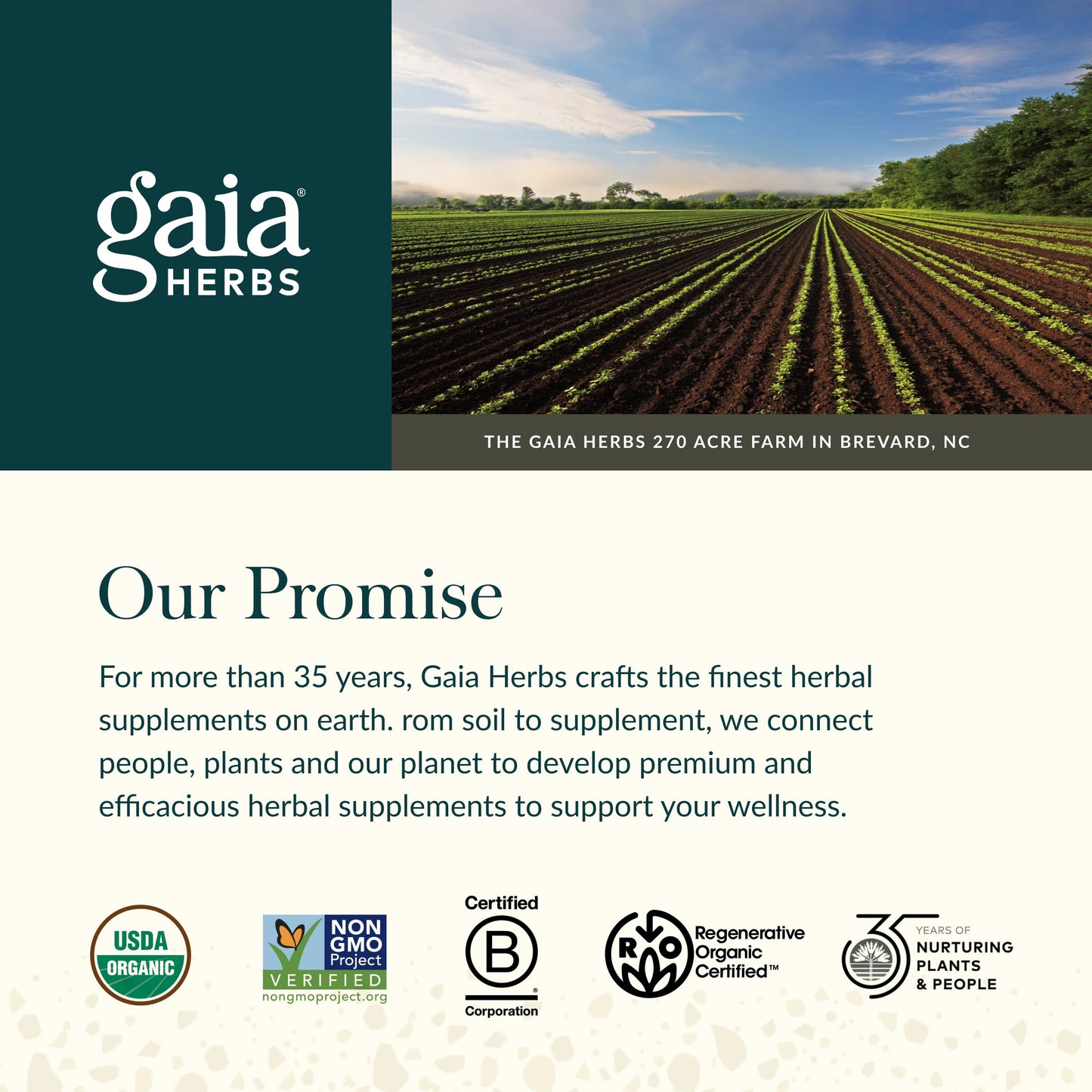 GaiaKids Black Elderberry Syrup for Kids | Gaia Herbs - USDA Organic, 3 fl oz