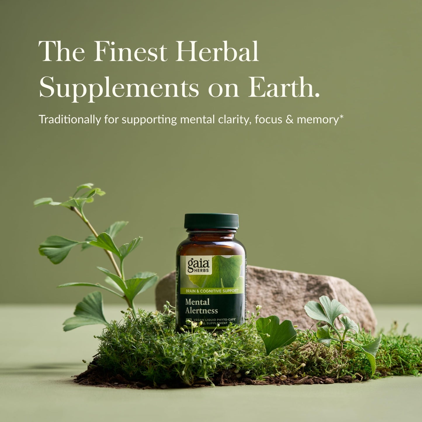 Gaia Herbs Mental Alertness - Brain Support Supplement for Focus & Memory* | 60 Vegan Liquid Phyto-Capsules (15-Day Supply)