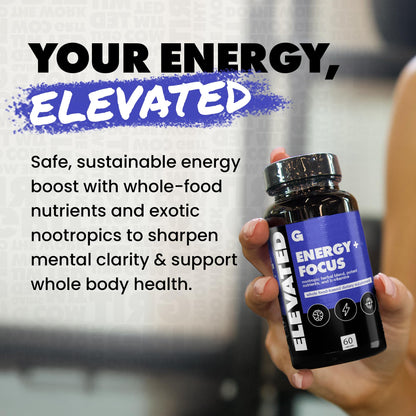 Gains in Bulk Elevated Nootropic – Herbal Energy, Ginkgo Biloba, B Vitamins, DMAE | Vegan, 60 Caps