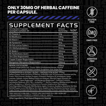 Gains in Bulk Elevated Nootropic – Herbal Energy, Ginkgo Biloba, B Vitamins, DMAE | Vegan, 60 Caps