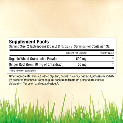Garden Greens Wheat Grass Liquid with Ginger Extract – 32 Servings