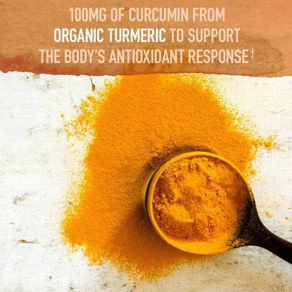 Garden of Life Organic Turmeric Extra Strength 100mg Curcumin – 120 Tablets