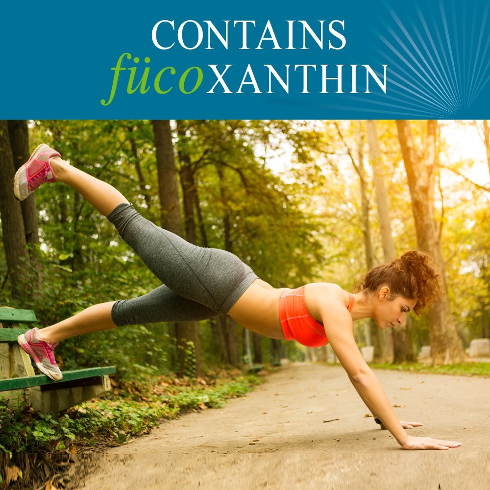 Garden of Life FucoThin Fucoxanthin Supplements – Non-Stimulant Fat Burner, 90 Softgels