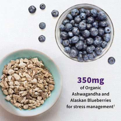 Garden of Life Mood+ Probiotics – Dr Formulated Mood Support with Ashwagandha, 60 Veggie Caps