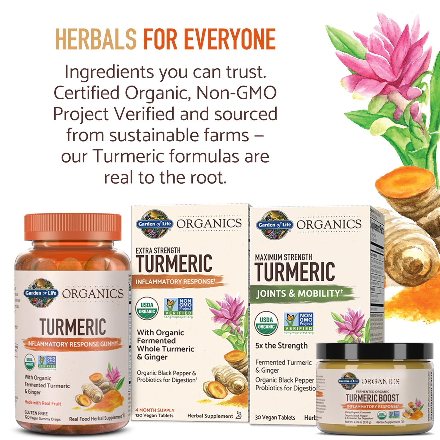 Garden of Life Organic Turmeric Extra Strength 100mg Curcumin – 120 Tablets
