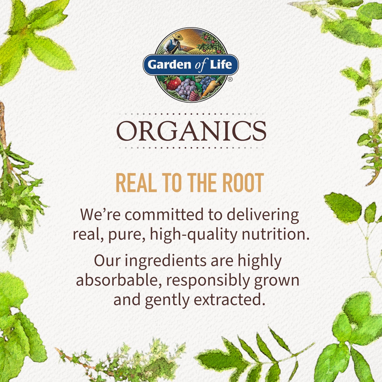 Garden of Life Once Daily Men's Multivitamin – Organic Vegan for Men, Prostate & Heart Support, 60 Tablets