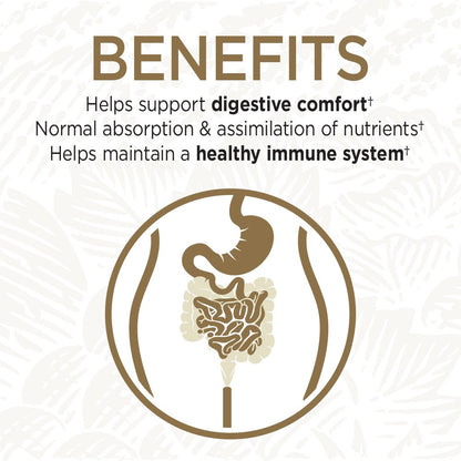 Garden of Life Primal Defense Ultra Probiotics – 15B CFU, 13 Strains, 180 Capsules | Vegetarian & Gluten Free