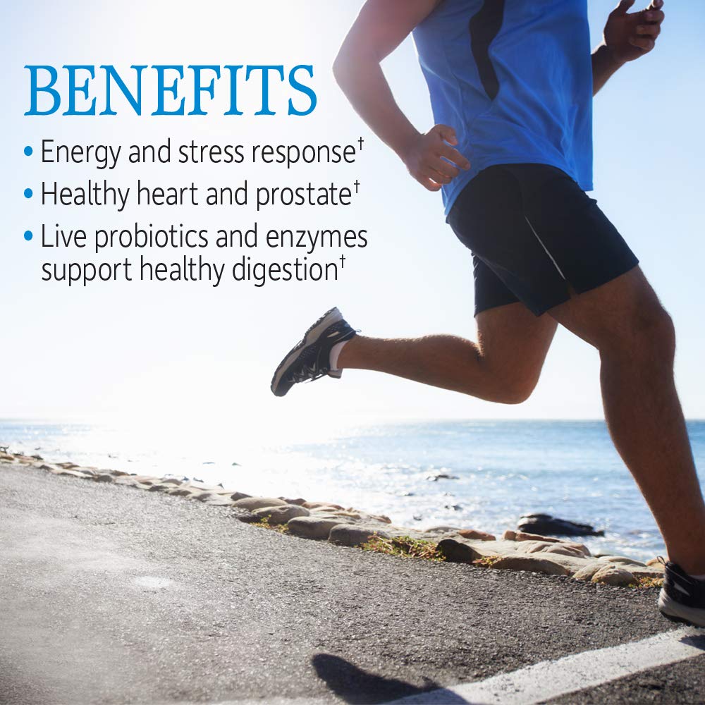 Vitamin Code Raw One for Men – Garden of Life | Once Daily Multivitamin