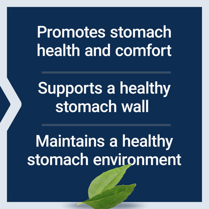 Gastro-Ease: Zinc L-Carnosine & Pylopass Probiotics for Digestive Comfort – 60 Vegetarian Capsules