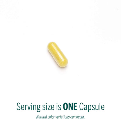 Genestra Brands Berberis Formula – Barberry, Goldenseal & Oregon Grape | 180 Capsules