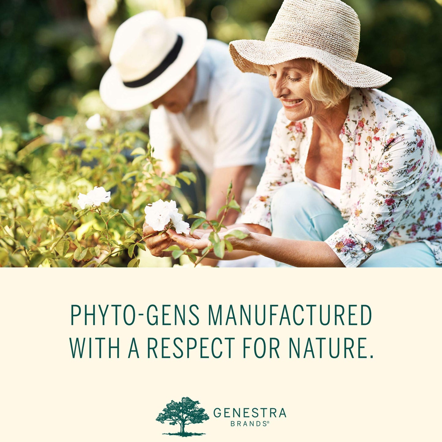 Genestra Brands Ginkgo Bud | Herbal Supplement 0.5 fl oz