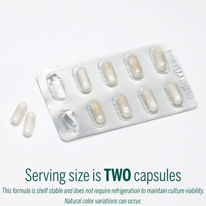 Genestra Brands HMF Travel - Shelf-Stable Probiotics for GI Health - 30 Capsules