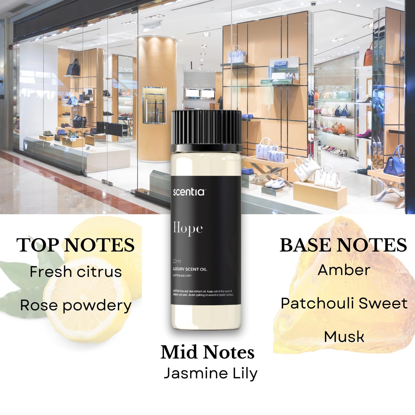 Perfume-Inspired Essential Oil Set – 3×20ml Diffuser Oils