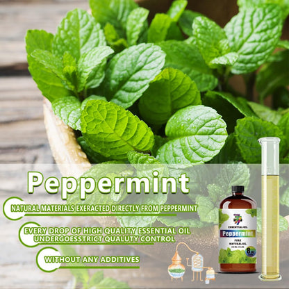 Peppermint Essential Oil (8 oz / 240 ml) – Diffusers, Candles & DIY Projects | GV77ZF