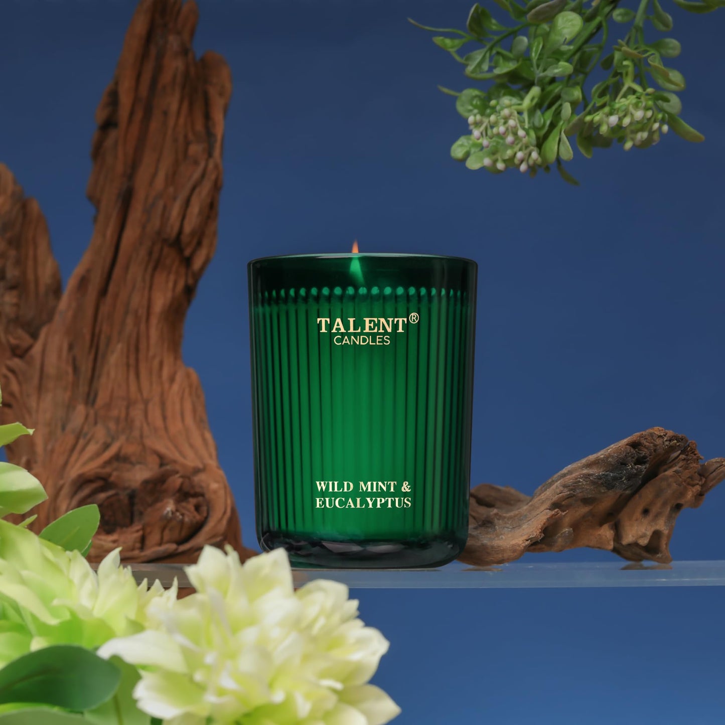 Jar Candles for Home Scent – Natural Soy 8.4oz (Wild Mint & Eucalyptus)