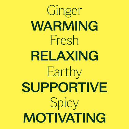 Plant Therapy Ginger Steam Distilled Essential Oil 10 mL (1/3 oz) 100% Pure, Undiluted, Natural Aromatherapy