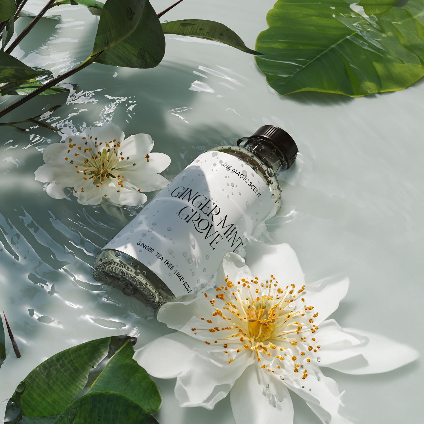 The Magic Scent Ginger Mint Grove Diffuser Oil - Luxury Hotel & Home Scents - 4 oz (120 mL)