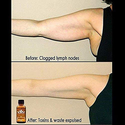 3 Pack Lymphatic Drainage Ginger Oil – Ginger Massage Oil to Promote Blood Circulation, Suitable for Body Massage