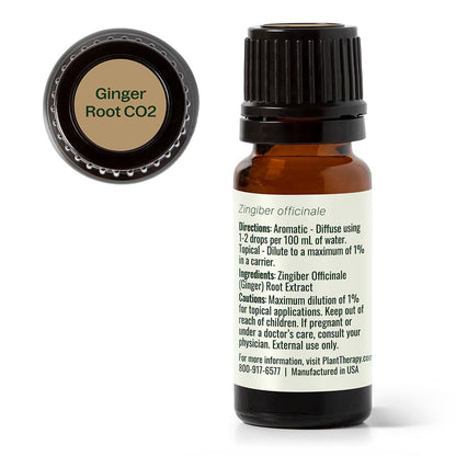 Plant Therapy Ginger Root CO2 Essential Oil - 100% Pure, Therapeutic Grade (10 mL)